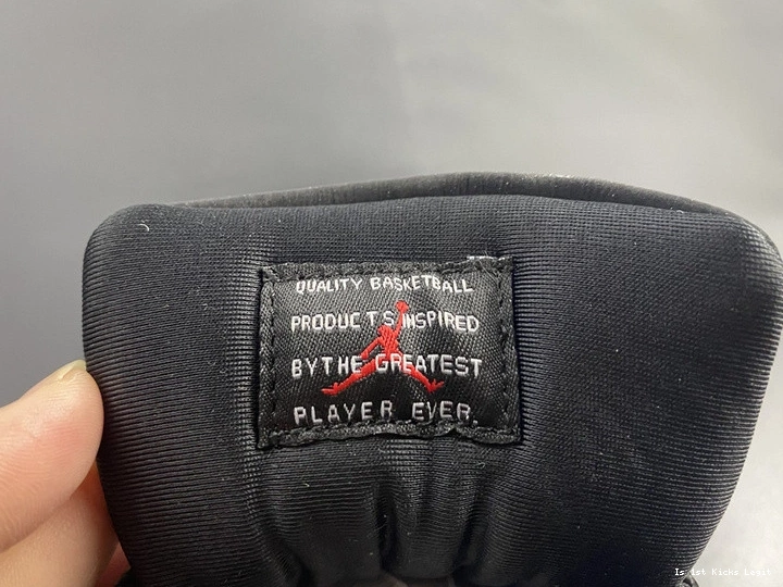 Instinct Air AR0715-010 11 Animal Jordan 1217